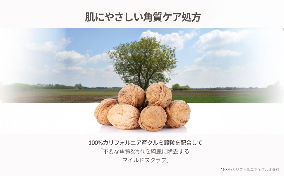 plu フルー パフュームドボディスクラブ 200g